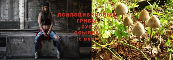 дмт Лиски