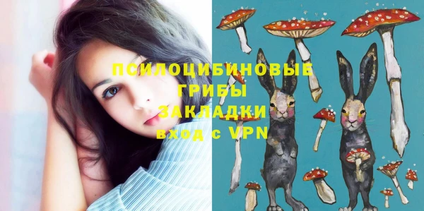 дживик Армянск