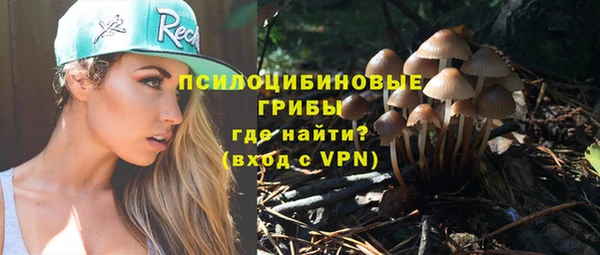 дживик Армянск