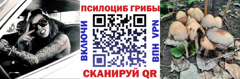 Псилоцибиновые грибы MAGIC MUSHROOMS  Купить закладки  Ленск 